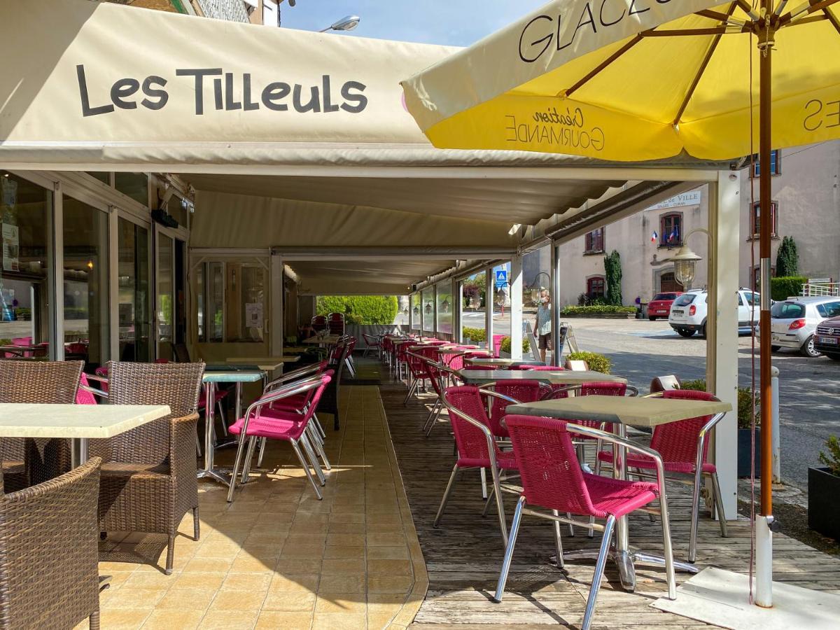 Hotel Les Tilleuls De Pareloup A Salles-Curan Buitenkant foto