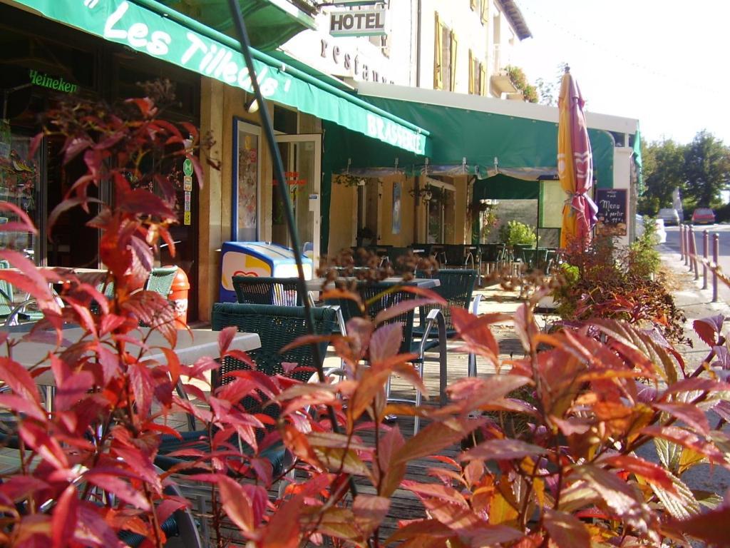 Hotel Les Tilleuls De Pareloup A Salles-Curan Buitenkant foto
