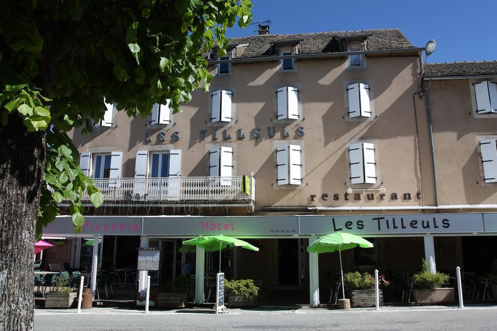 Hotel Les Tilleuls De Pareloup A Salles-Curan Buitenkant foto